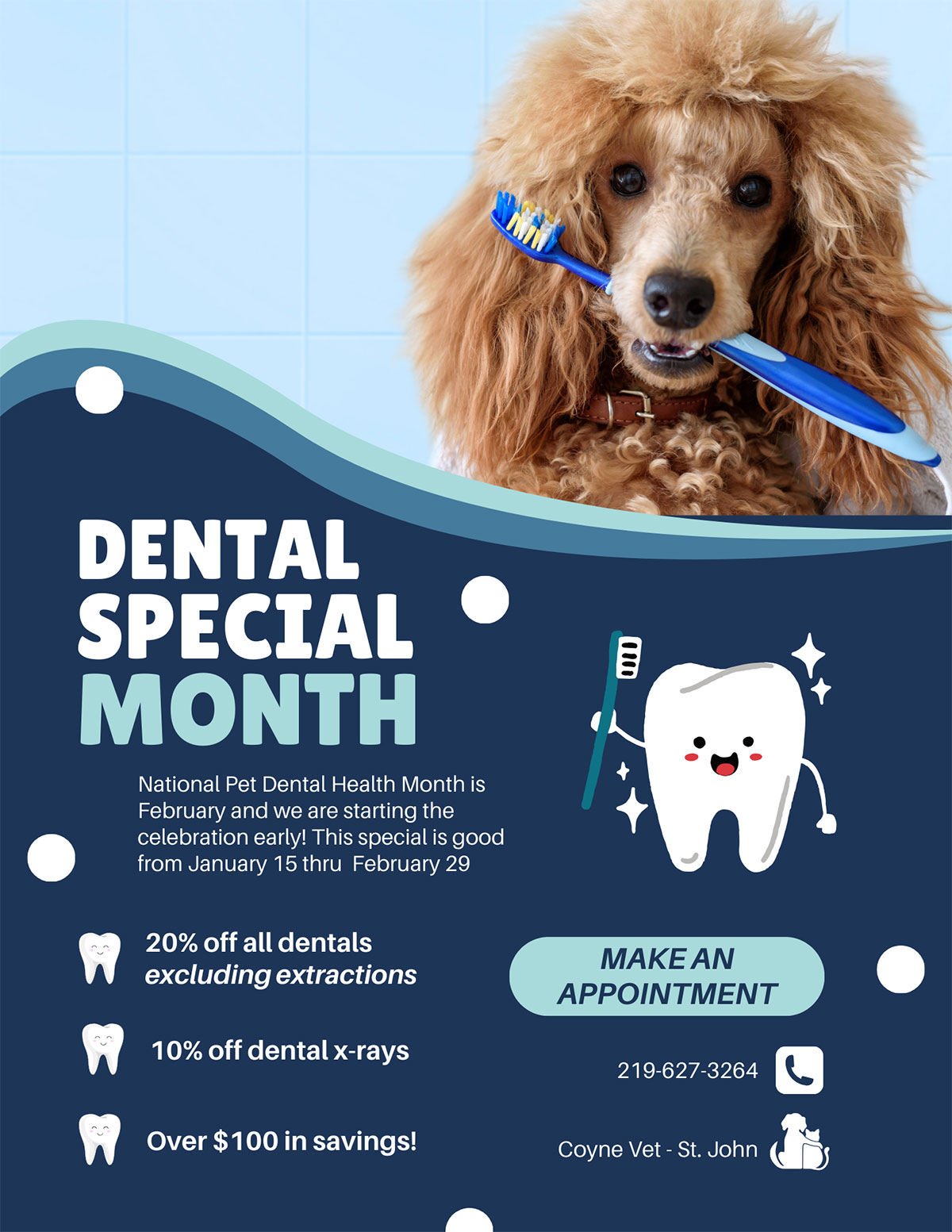 January and February 2024 dental special