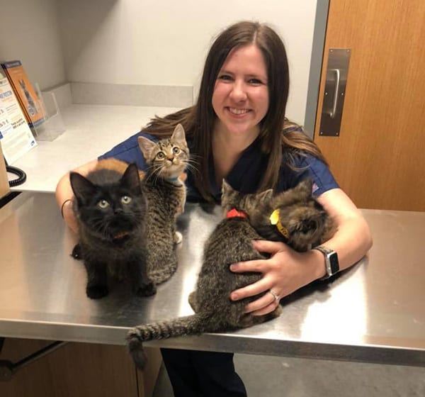 veterinarian with kittens