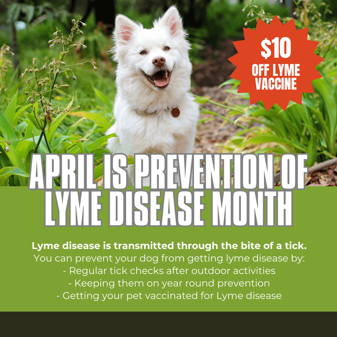 Lyme Prevention