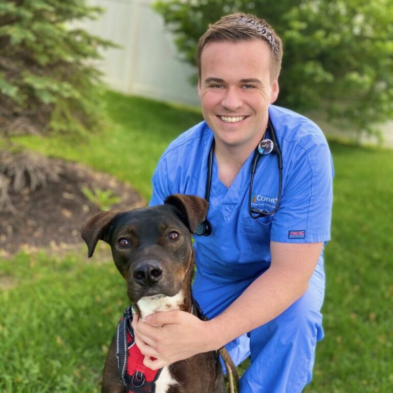 Dr. Ryan Cuddihy Coyne Veterinary Center St. John Veterinarian