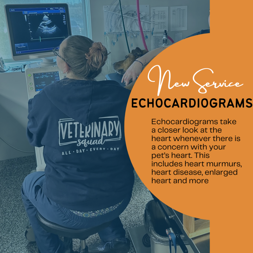 Echocardiograms