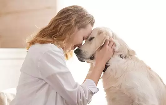 A woman and a golden retriever press their faces together
